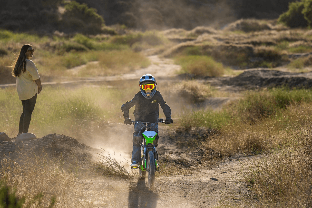 Bicicleta Electrode 20 - Imagen 3
