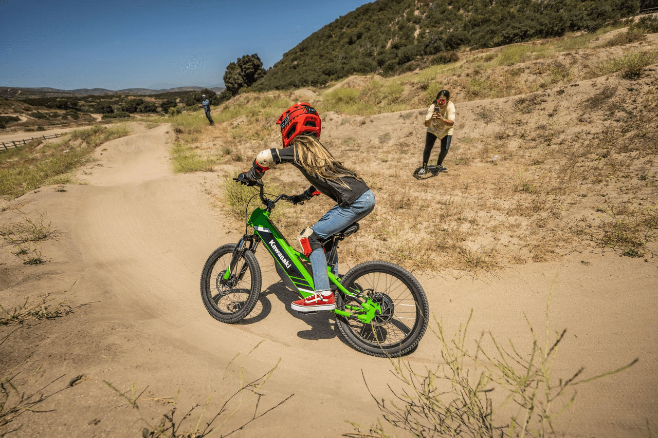 Bicicleta Electrode 20 - Imagen 5