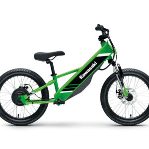 Bicicleta Electrode 20