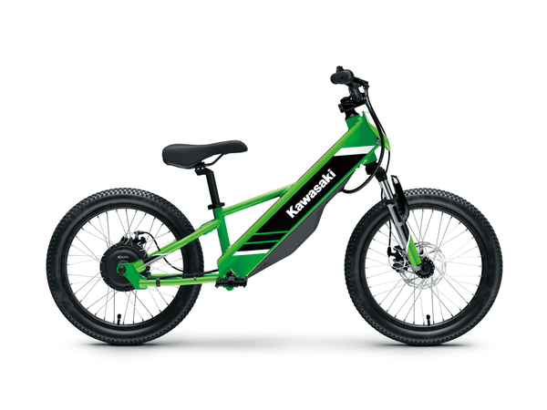Bicicleta Electrode 20